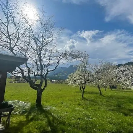 In Near Wilder Kaiser Area, Cleaning Included Feriehus *