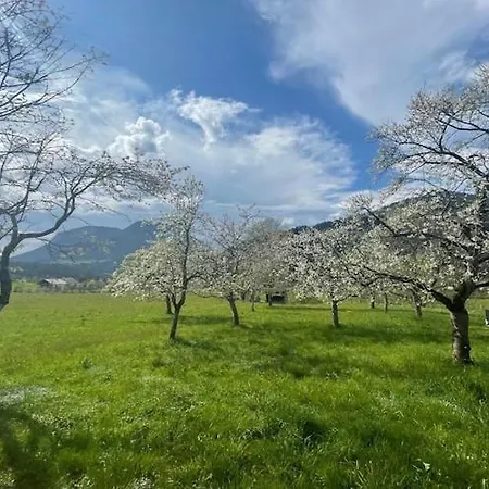 In Near Wilder Kaiser Area, Cleaning Included Söll